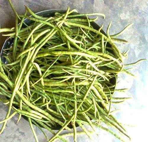 R Champalal and sons osian RCS Dried Sangari, sangariya (MARWARI SANGARI) Kair Sangari (400)