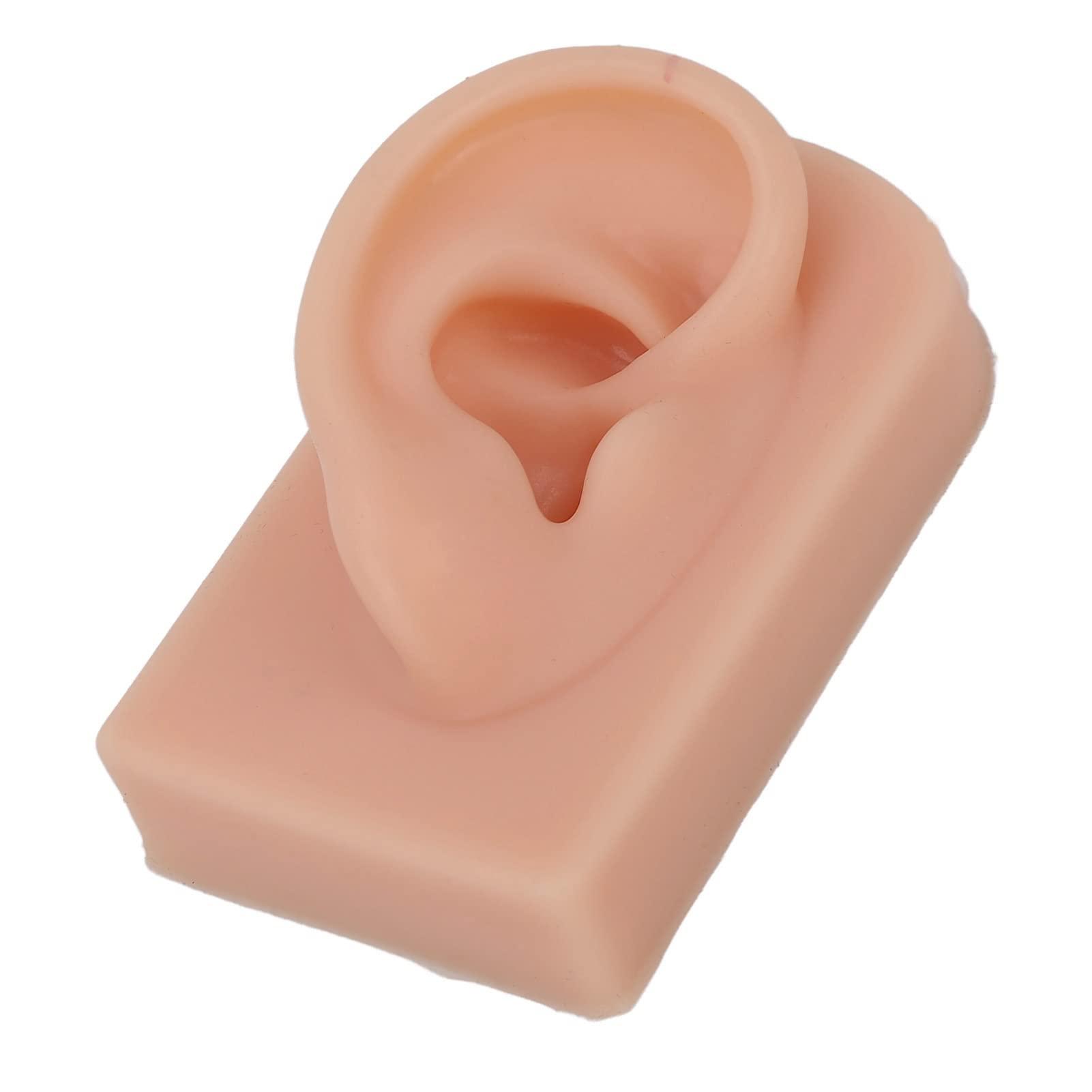 Bannt Fake Ear Model, Easy To Use Right Ear Flexible Silicone Human Ear Model for Earrings Display for Ear Piercing Training Dark Complexion