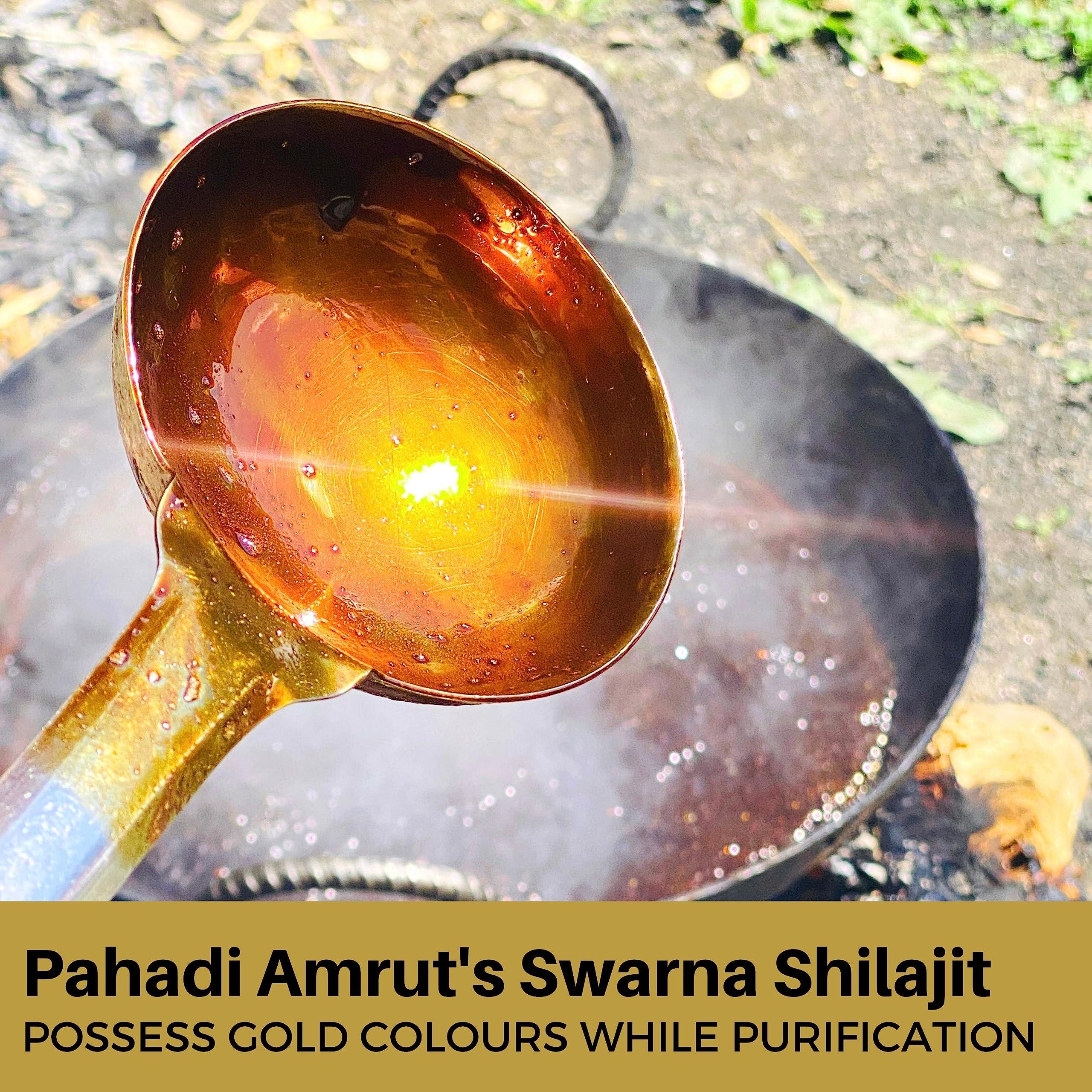 Pahadi Amrut Pahadi Amrut Shilajit | 100% Natural Himalayan Shilajit I Pure Shiliajit 10G Paste