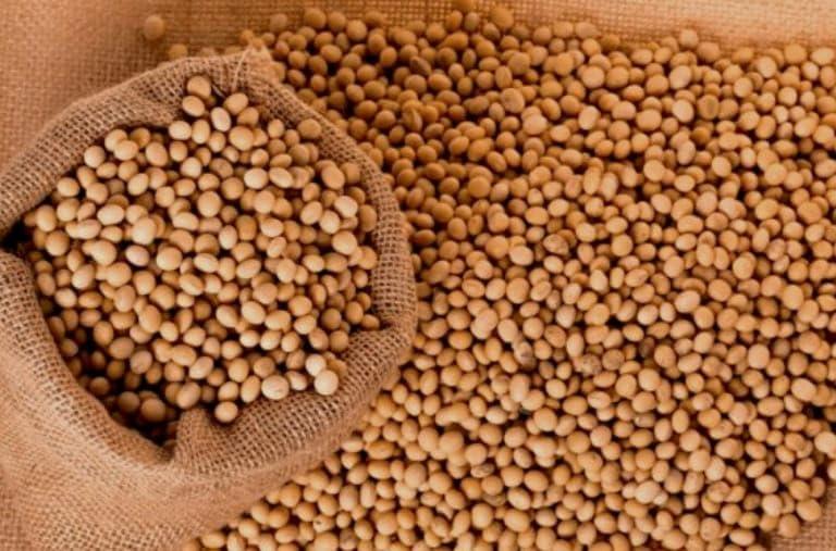 Generic Dhanyashray Soya Bean Seeds 250 gm, Whole Yellow Soyabean Dana,High Protien and Fibre