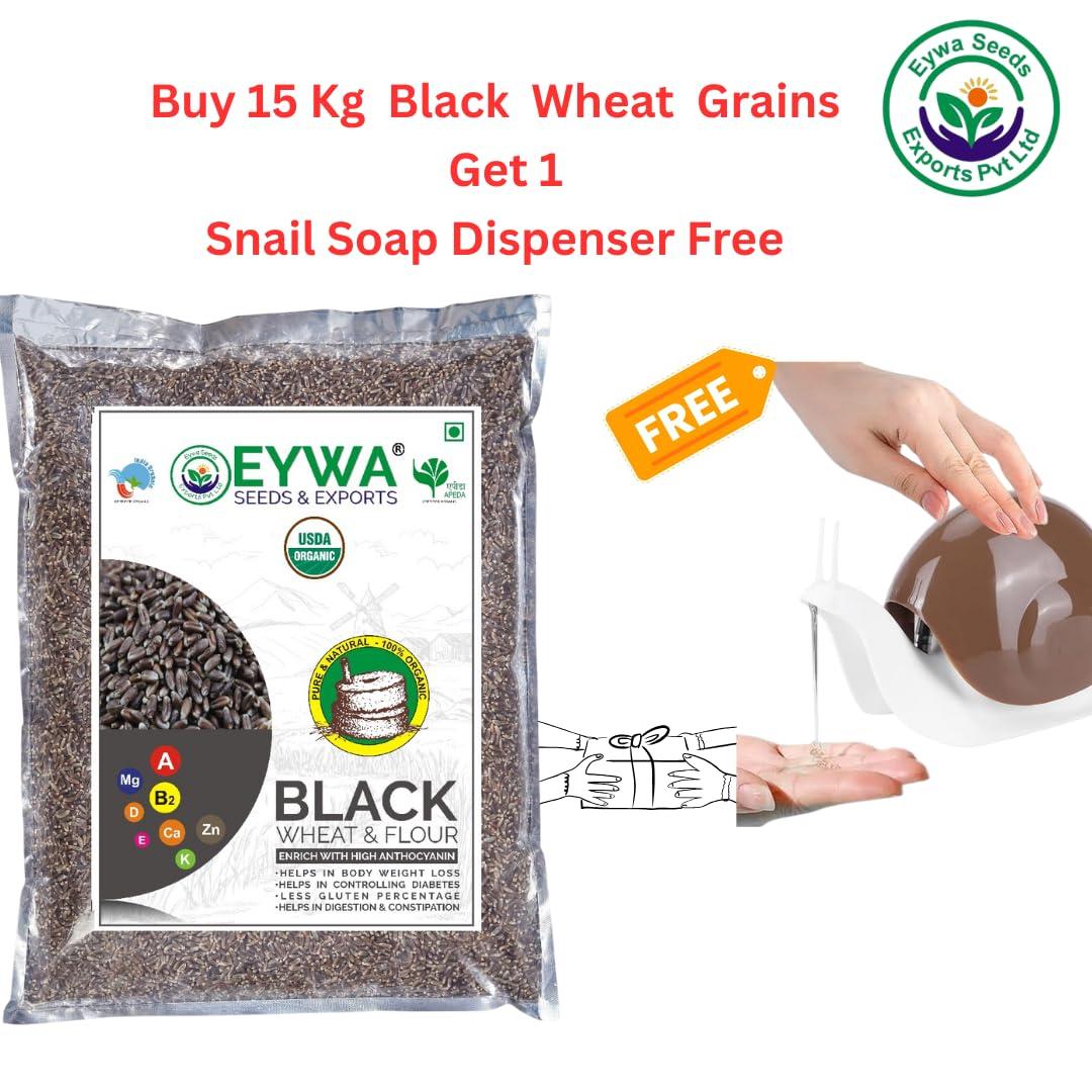 Eywa Seeds & Exports Pvt Ltd BLACK WHEAT GRAINS (15 KG) for eating and cooking | kale gehu daane | Produce of India from Organic Farms | BY EYWA