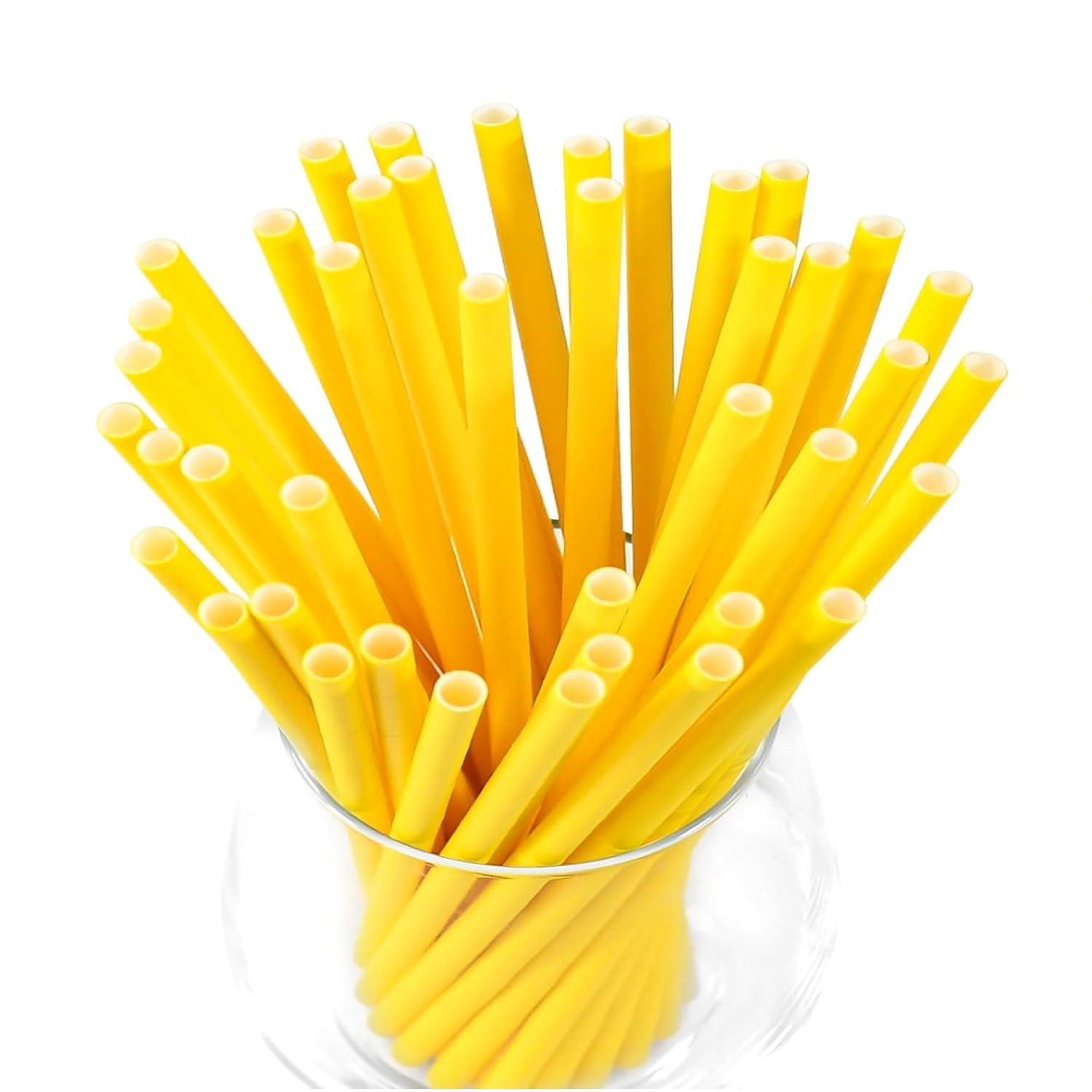 ProGNS ProGNS Gold Pro Whey Protein Powder Sachets | Protein 25g & Fibre 4.2g per serving | Chocolate Flavour (42g x 10 Sachet)