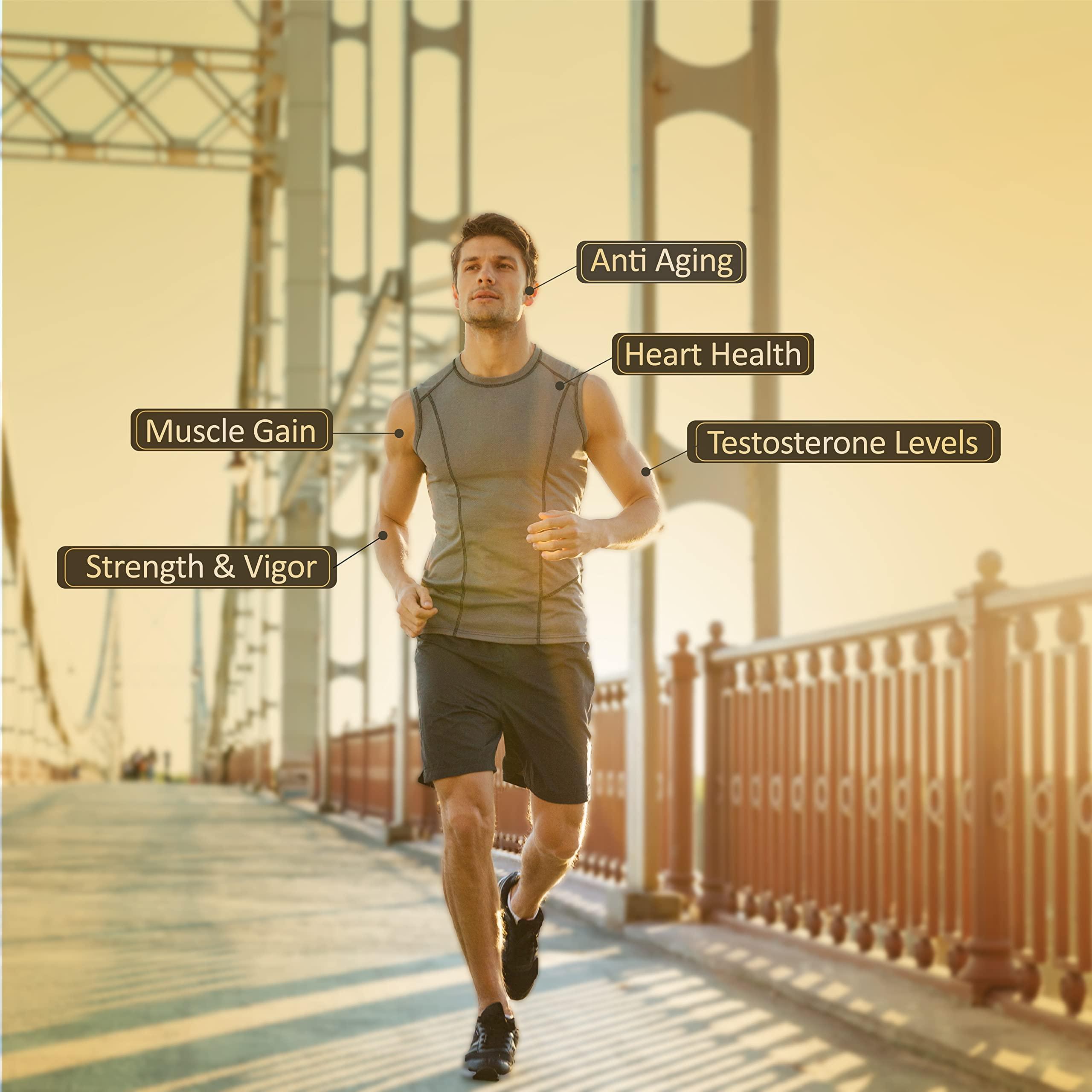 Indus Organics Indus Organics Himalayan Pure Shilajit Resin 25gm for Strength, Stamina, Focus,Vitality & Performance | Pack of 1