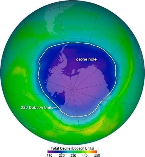 SUSHITO GLOBAL TRADE SUSHITO GLOBAL TRADE Naturaly Oxygen Generator Tulsi Seeds & Beads Bracelet For Health Care Shield. Repel Mosquitoes Also.(0.7 mm)