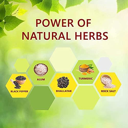 HATHI CHHAP Organic Anand Dant Aushadhi Pack of 3 (Ayurvedic Gum Massage Dant Manjan/Toothpowder)