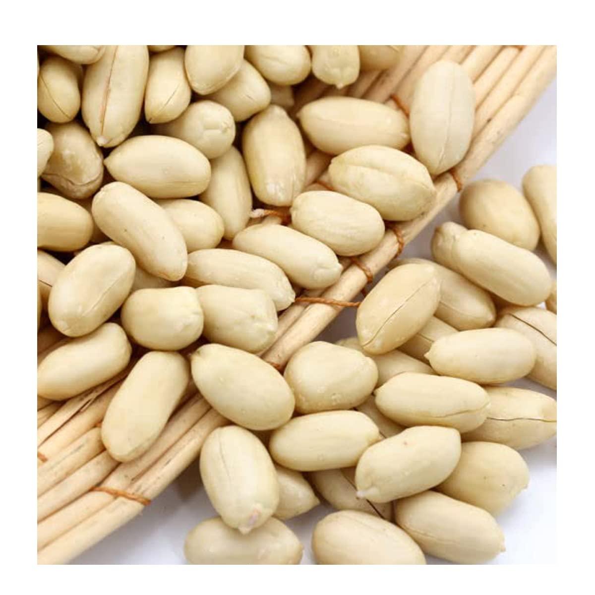 Avenn Avenn Jumbo Salted Peanuts | Gujrat Special Roasted Mungfali | Jumbo Groundnut Singdana Seed | Salted Sing with Husk | Fresh Grade A Bharuch Khari Sing Skin Removed (Peeled Skin, 600 GM)