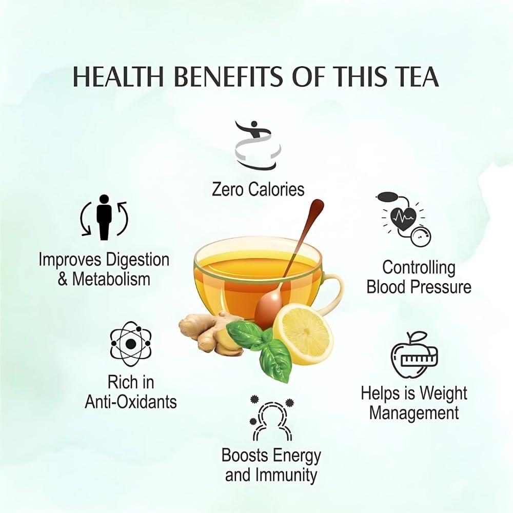 NORWORLD Green Tea Tulsi for Weight Loss | Anti-Oxidants Rich | Immunity & Digestion Booster Premium Leaves (25 Tea Bags)