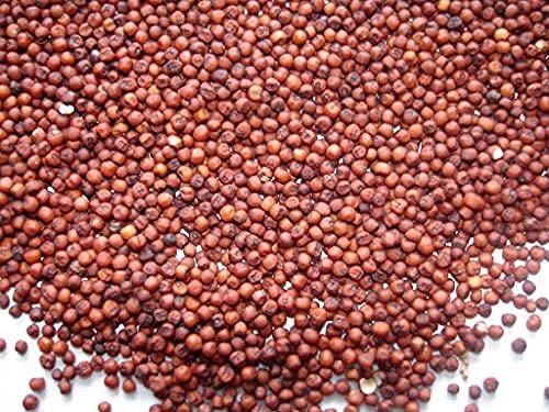 Spicado Traders Spicado Traders Whole Ragi Seed Finger Millet Fresh Stock - 1kg