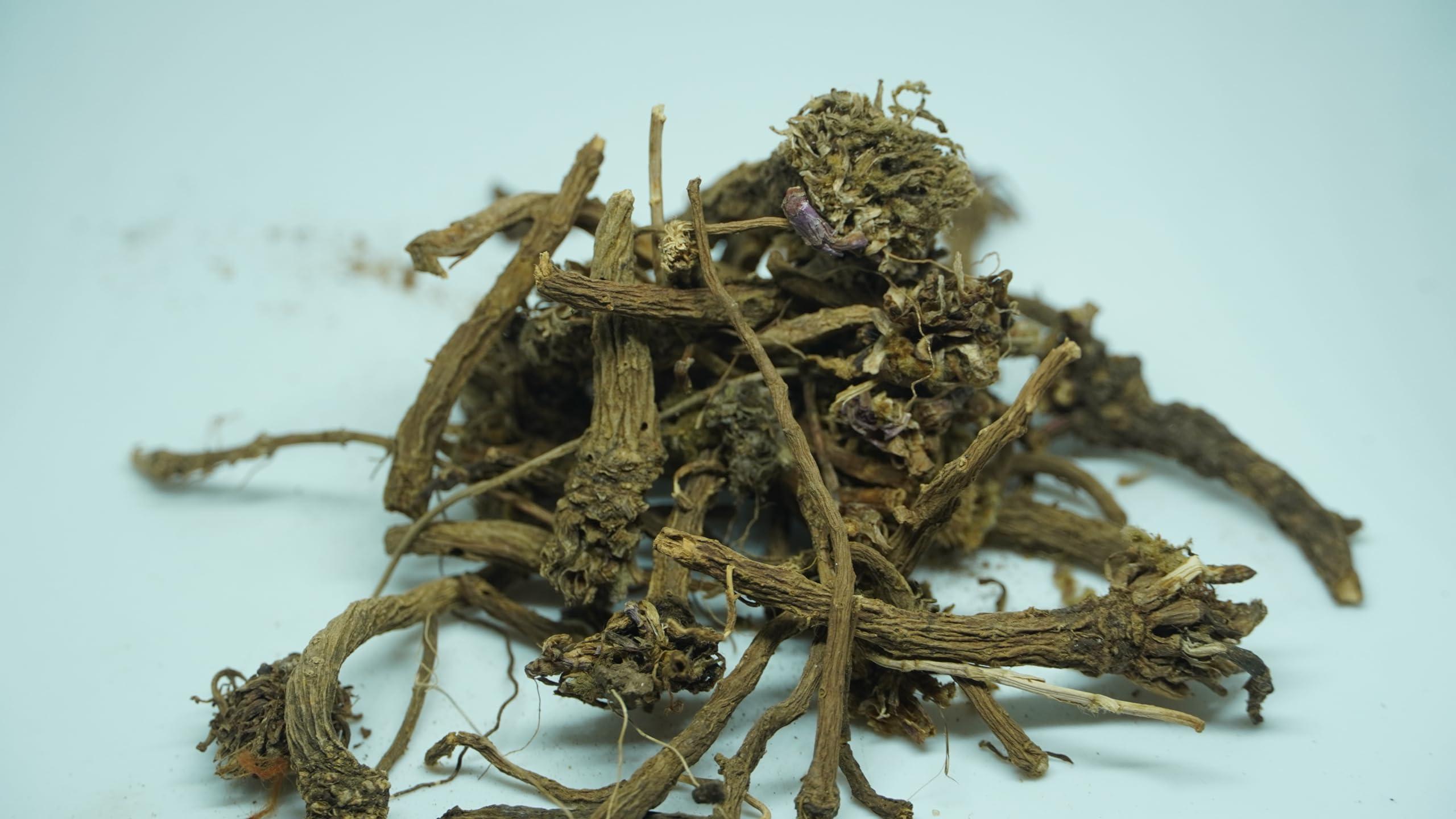 THOGAI THOGAIS -AGRAKARAM- / Pellitory/Mount Atlas Daisy/Spanish Chamomile/Akarkara/Akkorakaro/Aakarkara/Akkalakara/Akarakaram/Akkirakaram (25 GRAMS (PACK OF 1))