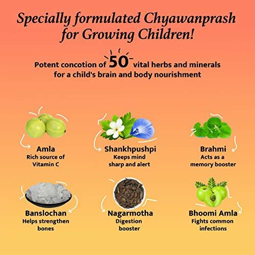 Baidyanath Baidyanath Junior Prash - 500g, Specially Formulated Chyawanprash for Kids