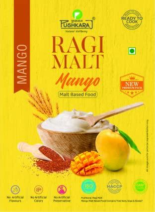 OPICKLES Opickles Khatta Aam ka Achar Homemade & Handmade Flavourful & Delicious Sour Mango Pickle Traditional Taste No added Preservatives & Chemical Free, 300 Gram pack