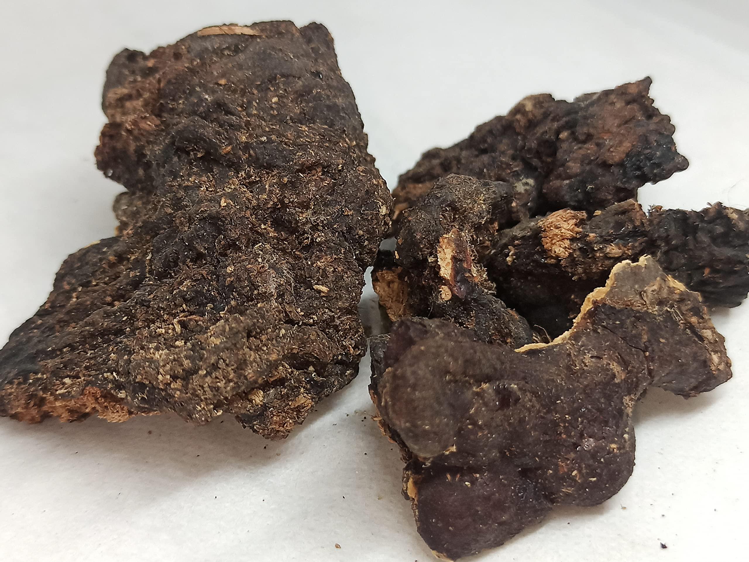 NavaFresh Basics NATURALIFE'S-*MURUNGA PISIN*- I Moringa Oleifera I Drumstick Tree Resin I Ahijan, Munaga I Senjana Pattee I Muringai I Mochakamu, Munagachettu (1000 GRAMS/1KG)