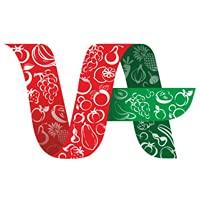 VARUN AGRO PROCESSING FOODS PRIVATE LIMITED Fresh Tomato Ketchup 450 gm Bottle, Sweet & Tangy Sauce tamota sauce onion garlic - Super Saver Offer Pack (Grocery items in kitchen)