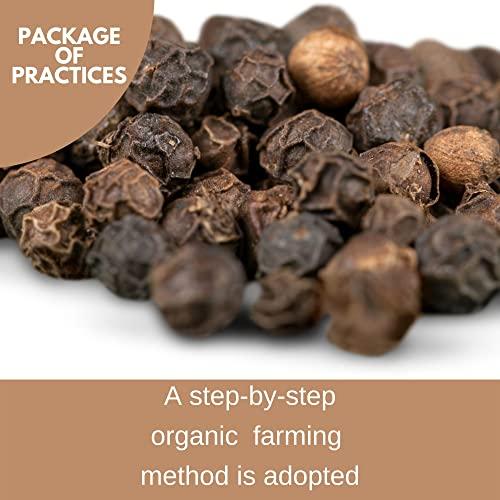 BOTLEAF BOTLEAF Black Pepper Whole 250 GM Extra Bold Size Fresh Kerala peppercorns from the farm Self Cultivated Thellissery Sabut Kali Mirch Golki Gota Pantry Golmorich Malabar Kalimiri Miriyalu 250gm