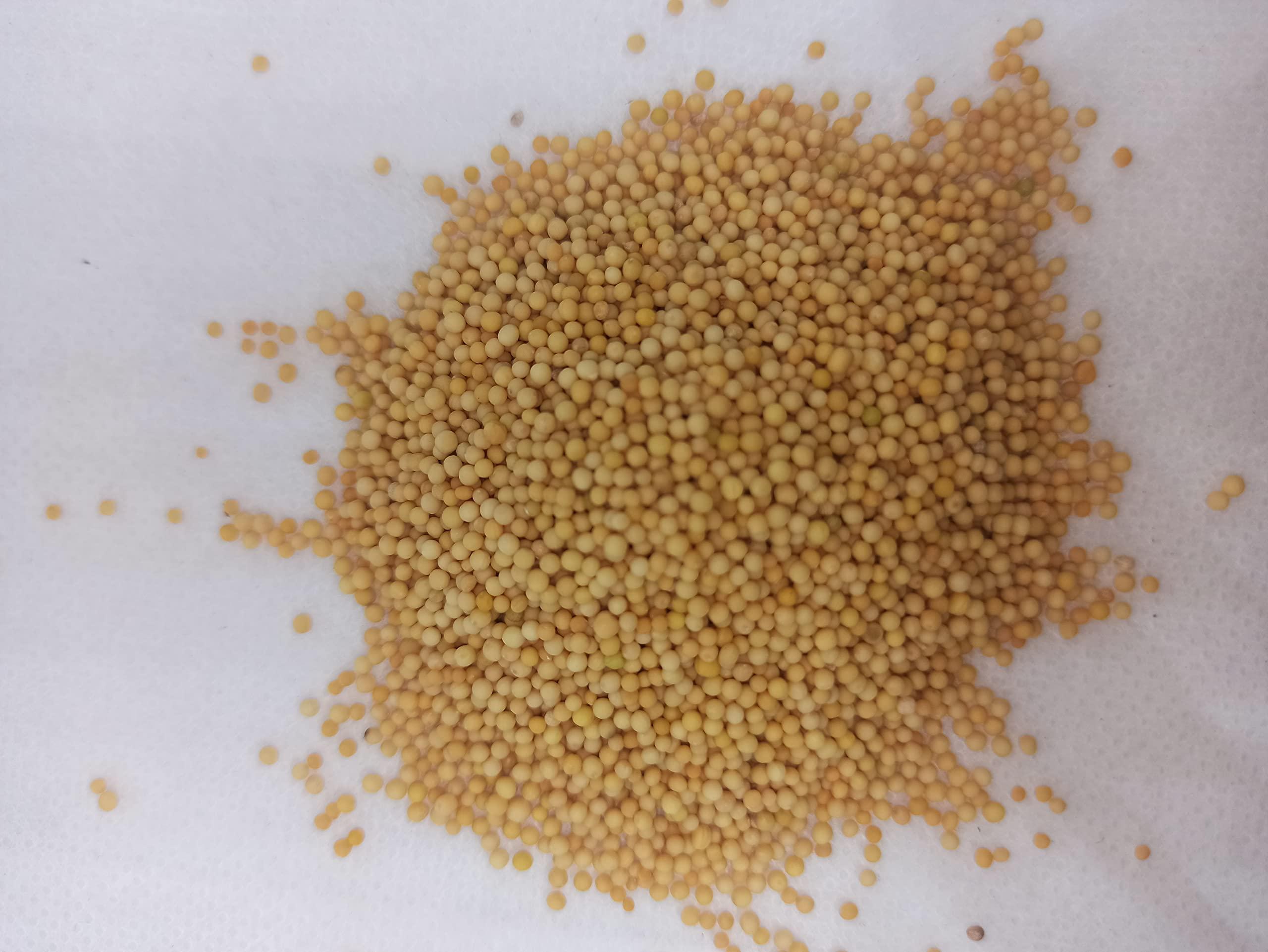 Generic NATURALIFE\'S-*VEN KADUGU*-YELLOW MUSTARD SEEDS RAW/ (250 GRAMS)