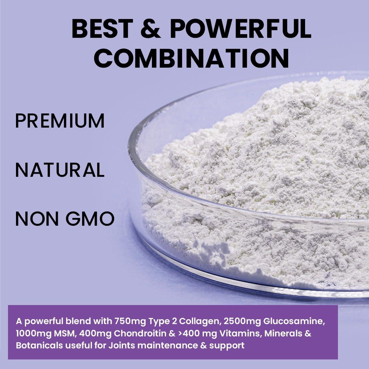 The JOINTS Co The Joints Co Ultra Ease with Type II Collagen, Bones & Joint Support Supplement Glucosamine Chondroitin MSM HA Complex & Herbal Blend for Joints, Bones & Cartilage Wellness - 90 Tablet (Pack Of 1)