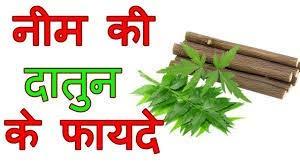 Generic Sonu Organic Fresh Neem Chew Sticks (Datoon) for Healthy Teeth and Gums - 20 Sticks