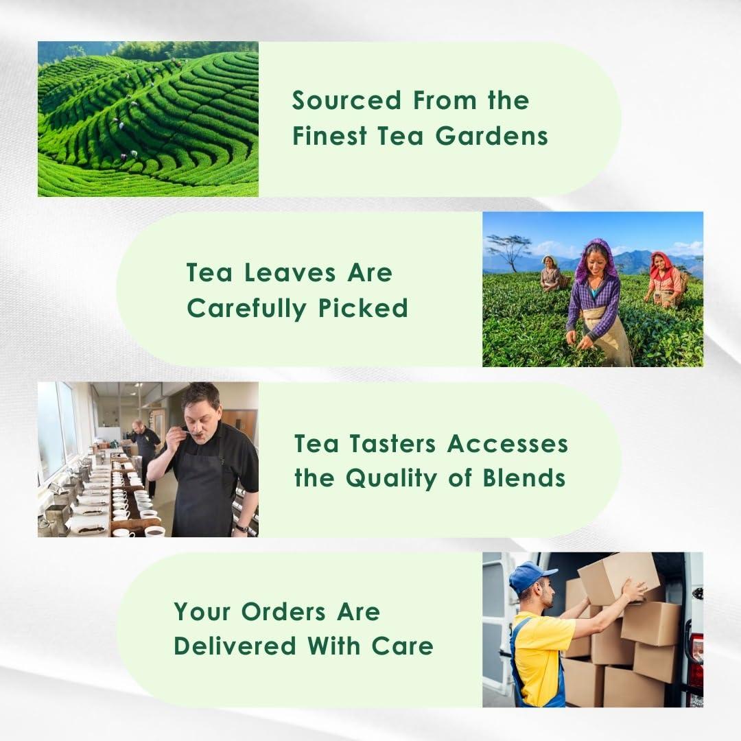 Tea Leaf & Co. Tea Leaf & Co. Sweet Hibiscus Cinnamon Green Tea (30 Pyramid Tea Bags Pack of 2) | Improves Immunity | Antiseptic Properties | Boost Sleep Quality - Brew Hot Tea or Iced Tea