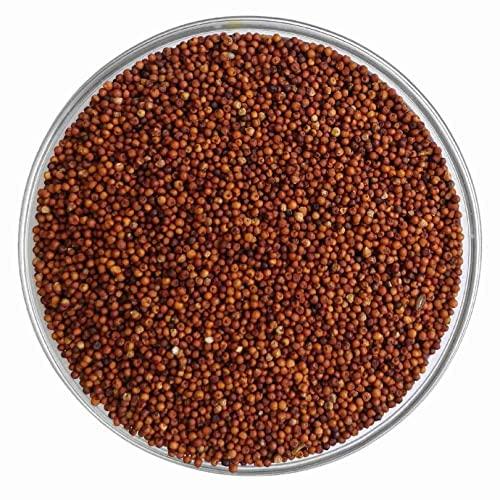 MILLET AMMA Millet Amma Unpolished CERTIFIED ORGANIC Ragi (Finger Millet) Grains | 2 Kg (1kg x 2 Packs) | (Kelvaragu,Nachni,Ragulu)