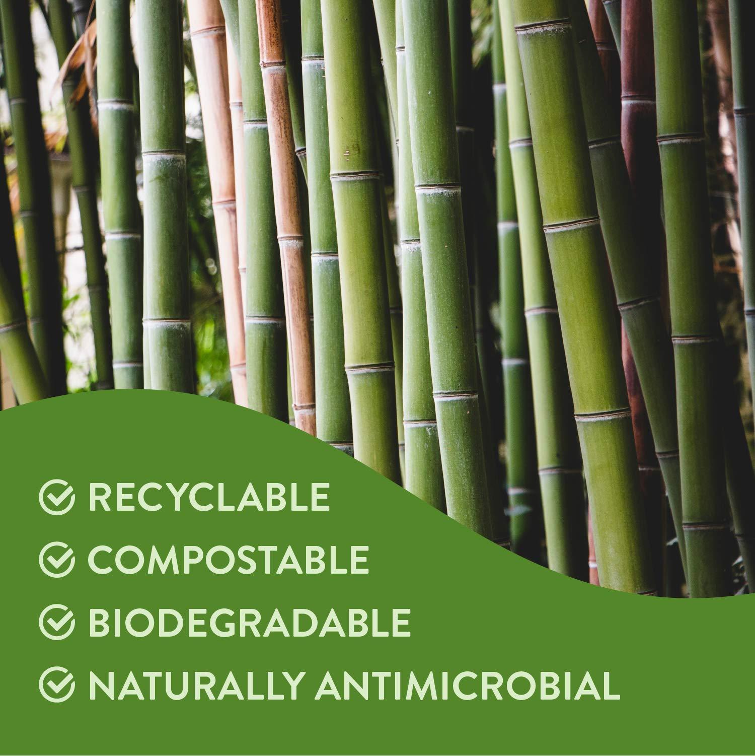 Lindo Lindo EcoGrip Charcoal Infused Bamboo Toothbrush - Soft German Made Fiber Bristles, Organic, Biodegradable and 100% Recyclable, Multi-Colored - Pack of 4