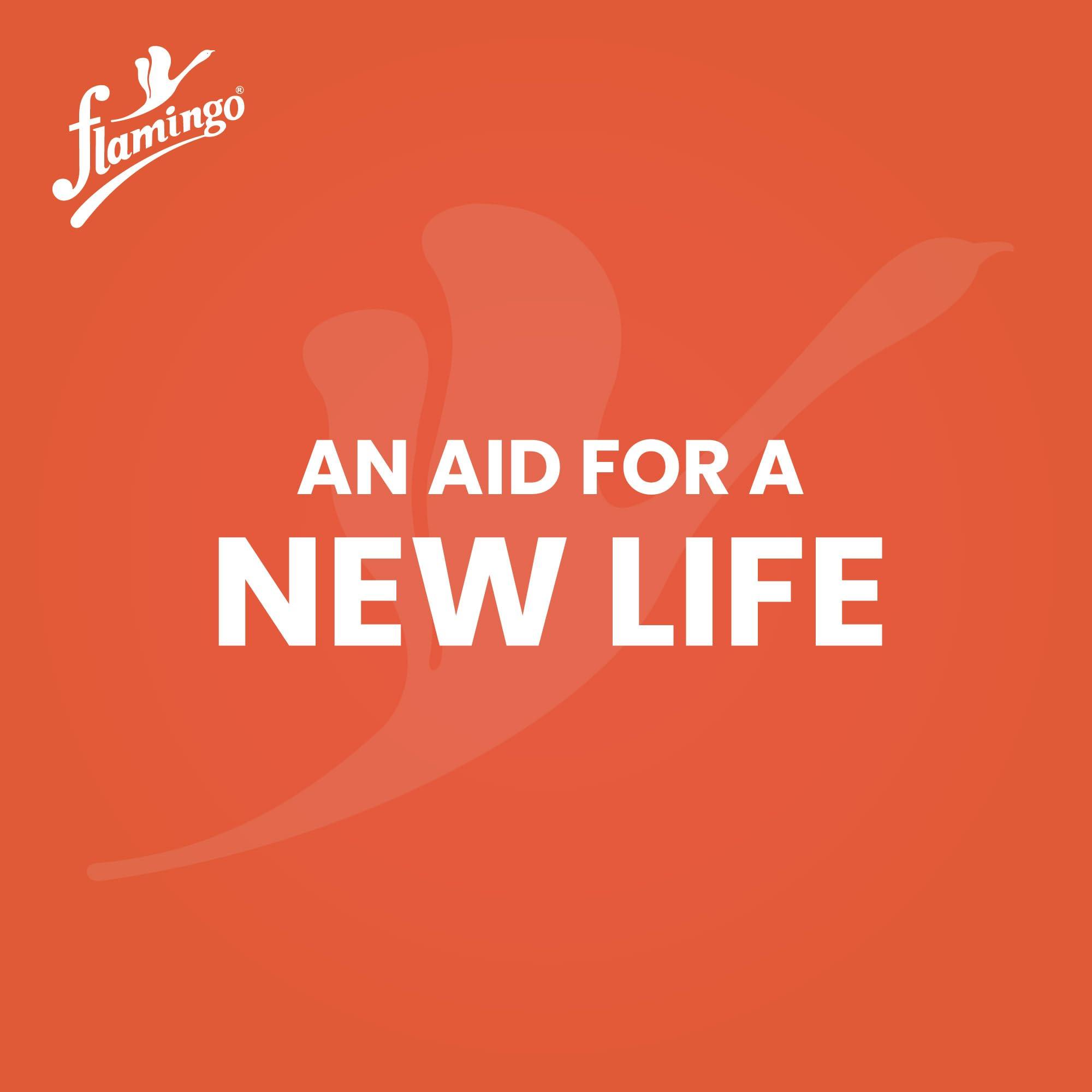 Flamingo Flamingo Pain Relief Spray | 100g | Pack of 1 | Effective in Muscle Pain, Back Pain, Joint Pain, Knee Pain & Ankle Pain | Suitable for Sports activities Fitness or Gym Workout injuries