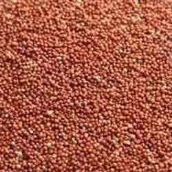 BAGUE Bague Whole Ragi Seed Finger Millet Fresh Stock 900g Grams