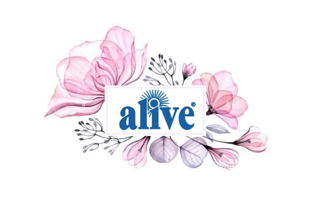 ALIVE alive Stiff Easy Gold Economy Fabric Stiffener (1000 gm*3)