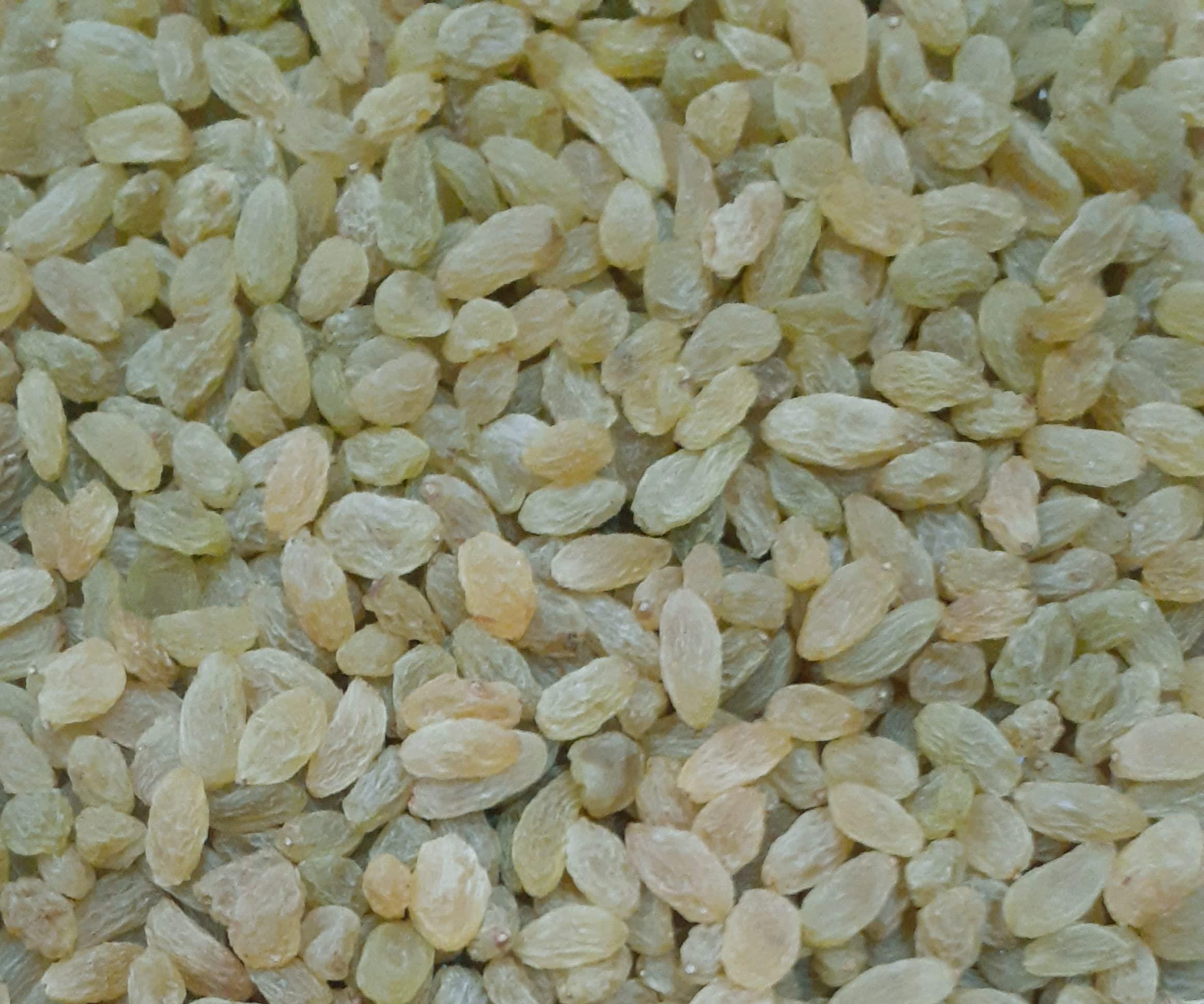 BELLANUTS Bellanuts Raisin Silver 950 gm | Kishmish Seedless | Dry Grapes | Color Less | Natural