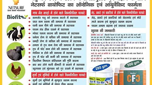 Netsurf CFC Plus 500 Gram, Powder Milk Gainer Netsurf Bio Fit, BIOFIT CFC Plus Extracts Concentrate Plus ( Pack of 1)