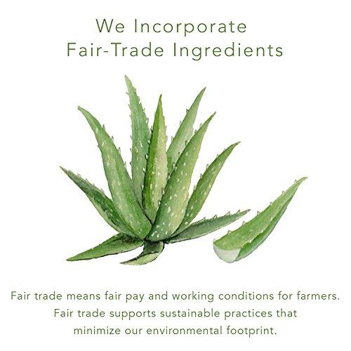 EmerginC emerginC Scientific Organics - Facial Cleansing Wipes, 30 Biodegradable Face Wipes with Aloe Vera and Witch Hazel Extract, (30) by EmerginC