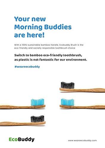 EcoBuddy EcoBuddy Bamboo Toothbrush, Nylon Medium Bristles (Purple)