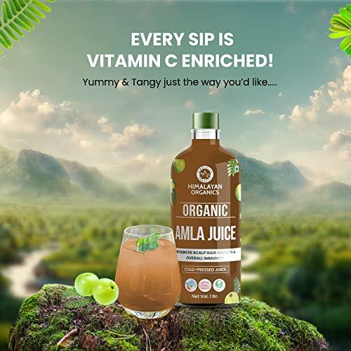 HIMALAYAN ORGANICS Himalayan Organics Organic Amla Juice | Supports Immunity, Gut Health, Strong Hair | Natural Organic Juice For Detox (1L)