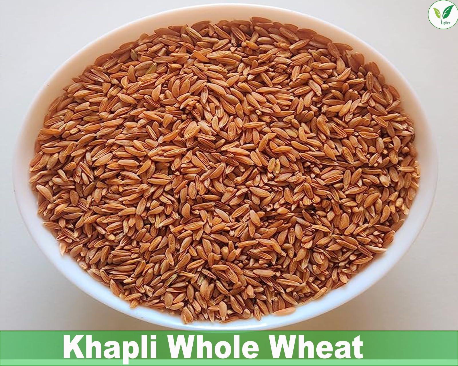 IAgriFarm Iagrifarm Khapli Wheat/Emmer Wheat (Long Grain) - 3 kg - Low Gluten, Glycaemic Index (GI)