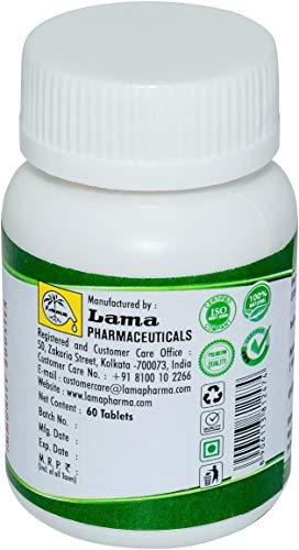 LAMA Immunity Kit for Senior Citizen (Diabetic) - Giloy Ghan Bati, Ayush Kwath Powder, Ashwagandha Churna, Yastimamdhu Churna, Chyawanyog 500g - 1 pack each