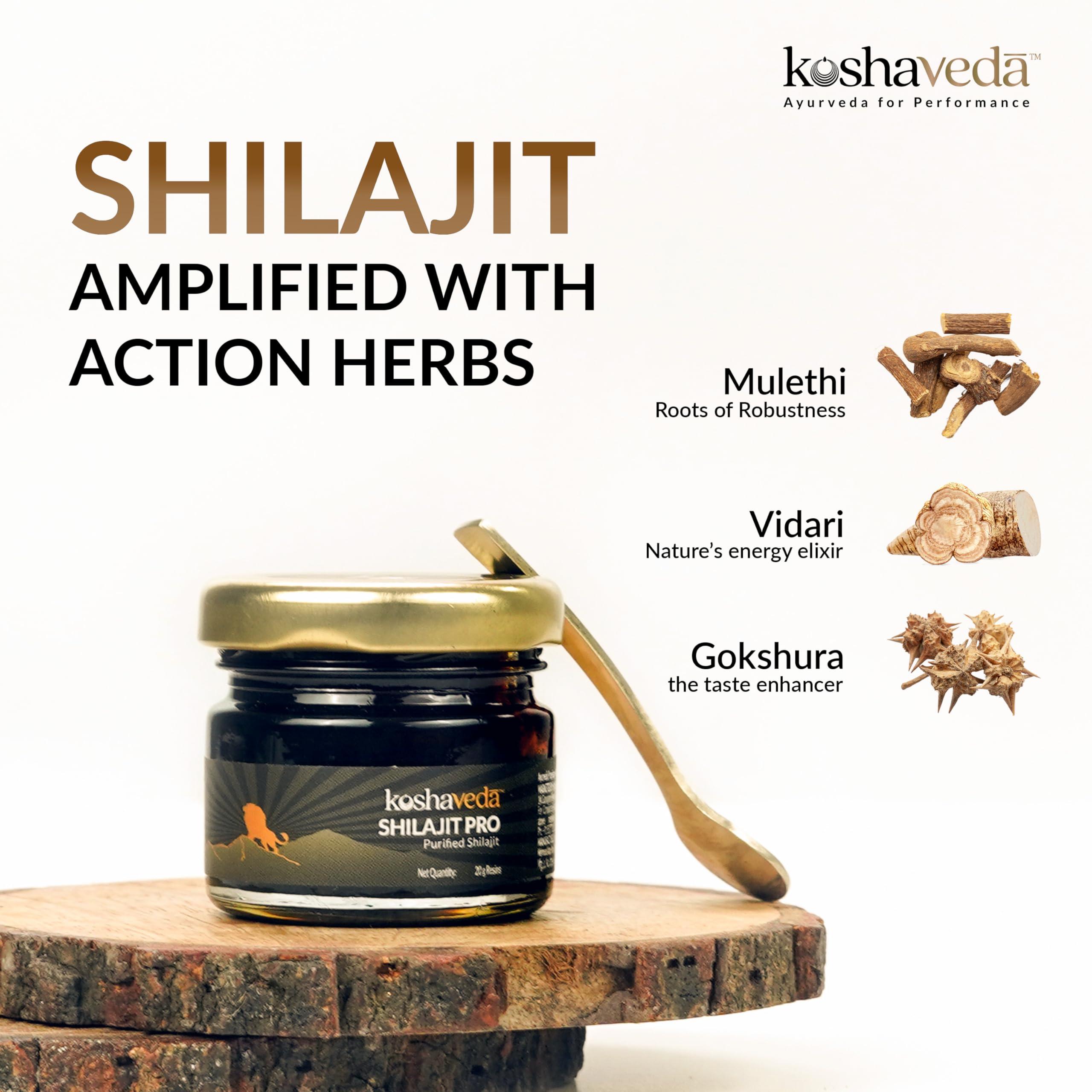 Koshaveda Koshaveda Shilajit Pro by MuscleBlaze (20g Shilajit Resin) & Prash Pro by MuscleBlaze (500g), Pack of 2 | For Strength, Stamina & Endurance