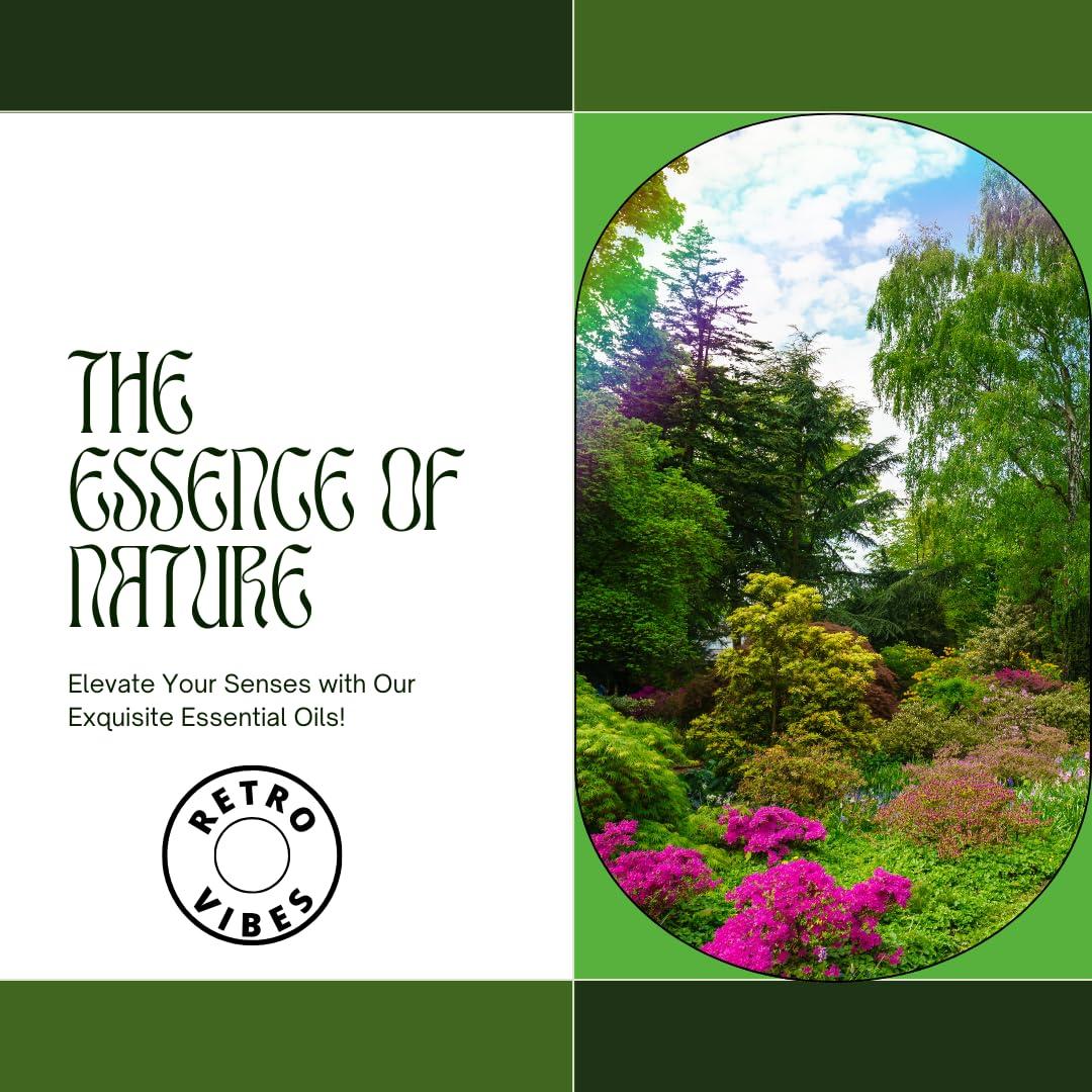 Color Zebra Retro Vibes Jasmine & Lavender Essential Oil Combo | Calming, Soothing & Romantic Aromas for Diffuser, Relaxation & Emotional Wellness | Ideal for Stress Relief & Home Fragrance | 100ml Each