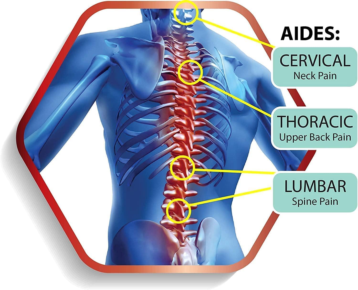 Shopping Mart Shopping Mart BioFeedBac Back Support Belt for Women and Men, (22- 60inch) - Lightweight Backbrace for Pain Relief - Great Waist Supporter for Posture Improvement