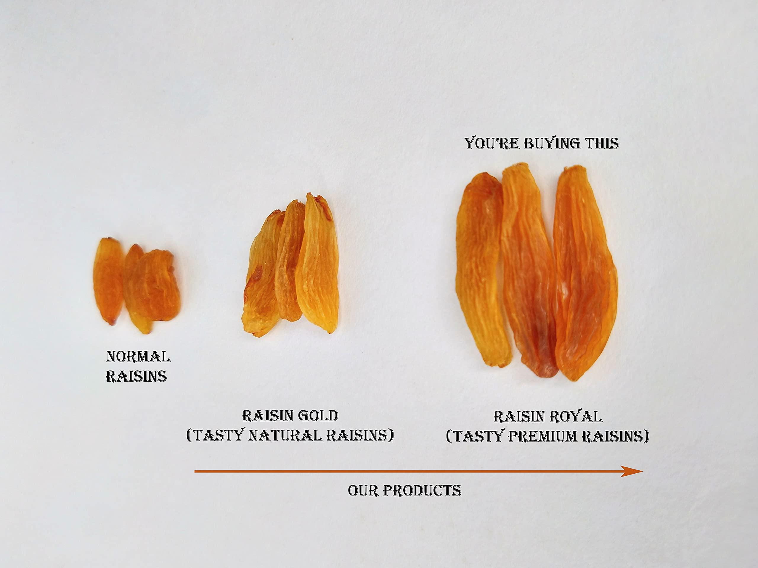 T.S. Universal T.S. Universal Raisin Royal Super Value Combo Pack, Premium Raisins, Extra Long & Sweet Kismis, (300g x 2) Pack of 2 / Best High Fiber Kishmish / Dry Grapes / Munnakka Giri / Dry Fruits / Golden Raisins (300gX2)