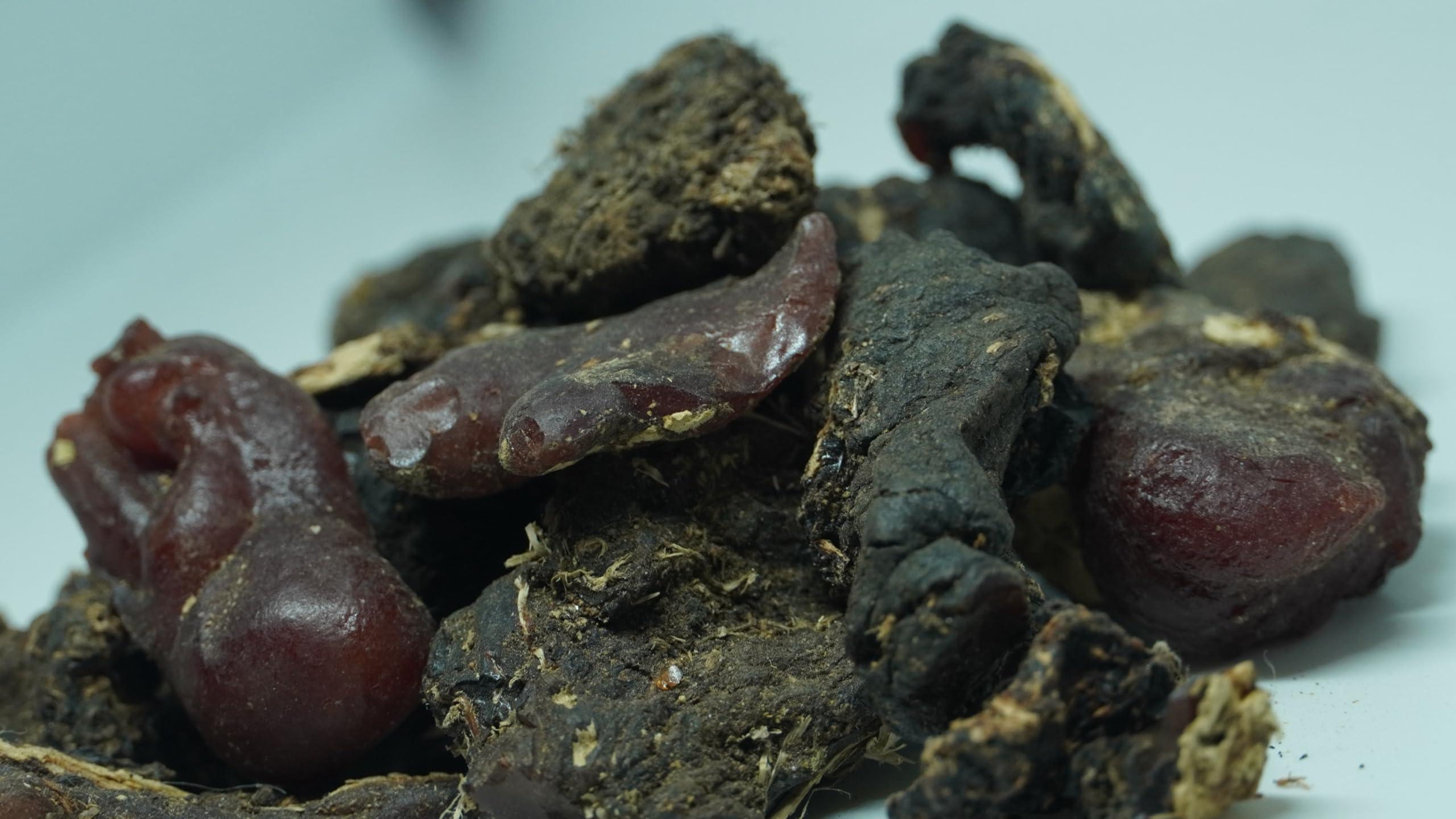 THOGAI THOGAIS -MURUNGA PISIN- / Moringa Oleifera/Drumstick Tree Resin/Ahijan/Munaga/Senjana Pattee/Muringai/Mochakamu/Munagachettu (500 GRAMS (PACK OF 1))