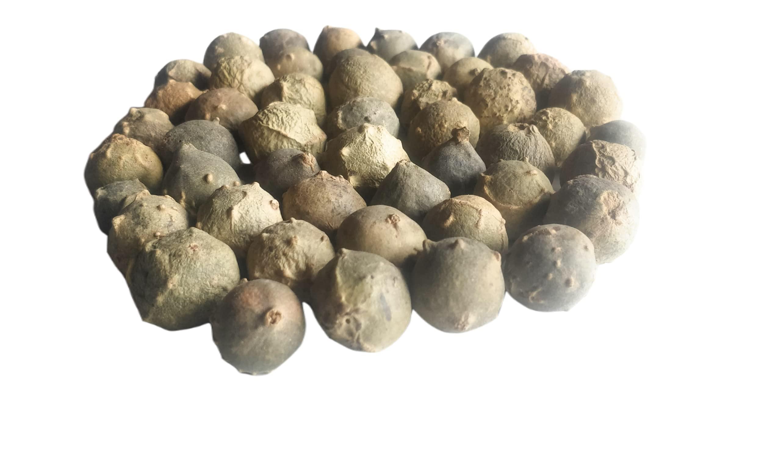 Ayushiv Ayushiv MAJUPHAL (QUERCUS INFECTORIA) - MANJAKANI - OAK GALL - GALLNUTS - Dyer's Oak - BLUE JACK - NUT GALLS (100 GM)