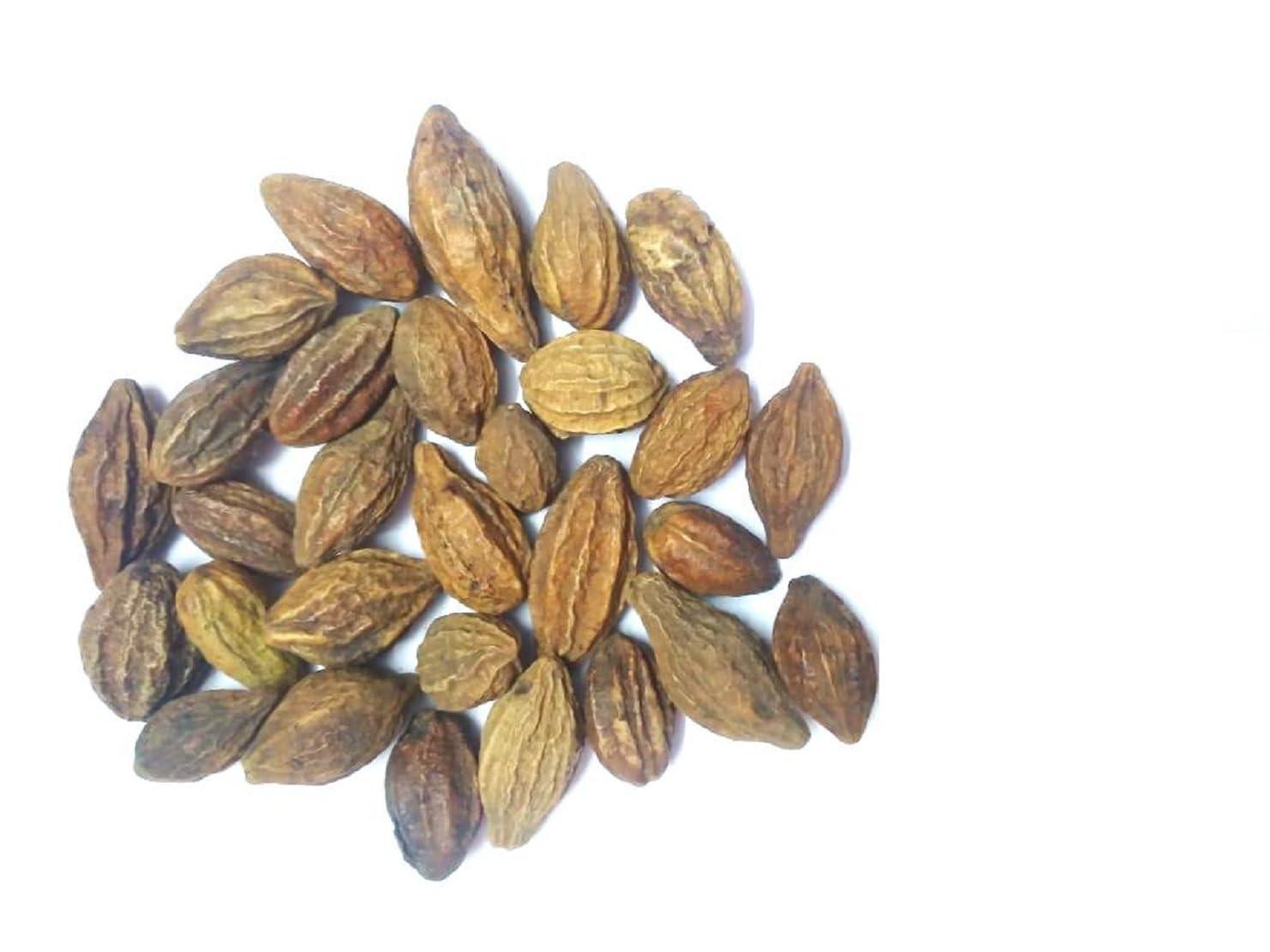 vinarghya Vinarghya - Survari Harad/Suravari Harada/Haritaki/Myrobalan/Hirdo/Pulo Harda/Harre/Hirada/Terminalia Chebula/Harar/Katukka/Karaka 900g