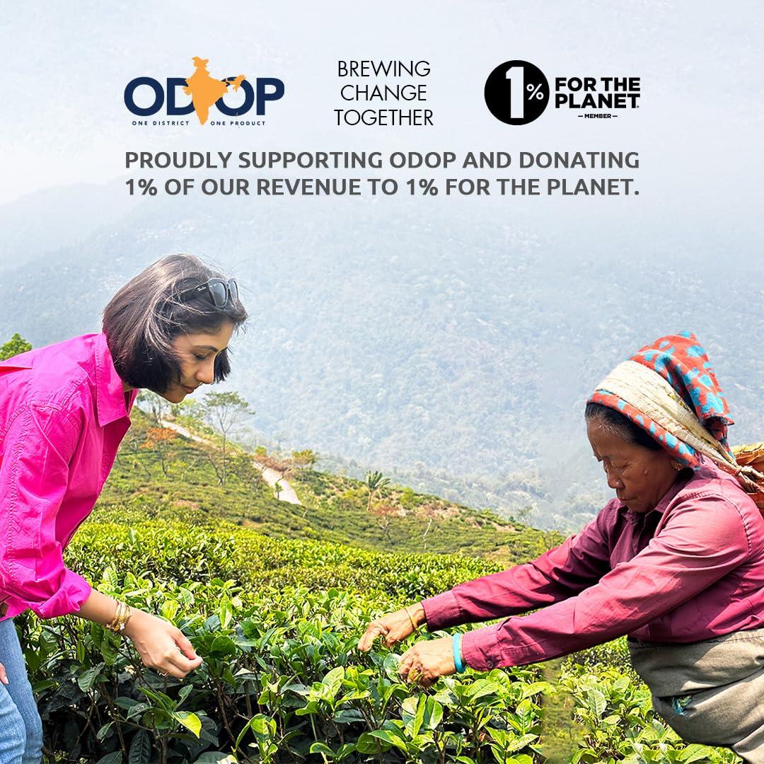 Celeste Celeste Green Tea GOLD RUSH  Premium Whole Leaf, 100% Natural Ingredients Chamomile, Marigold, Rosemary and Green Tea, 50gm - 20 Cups