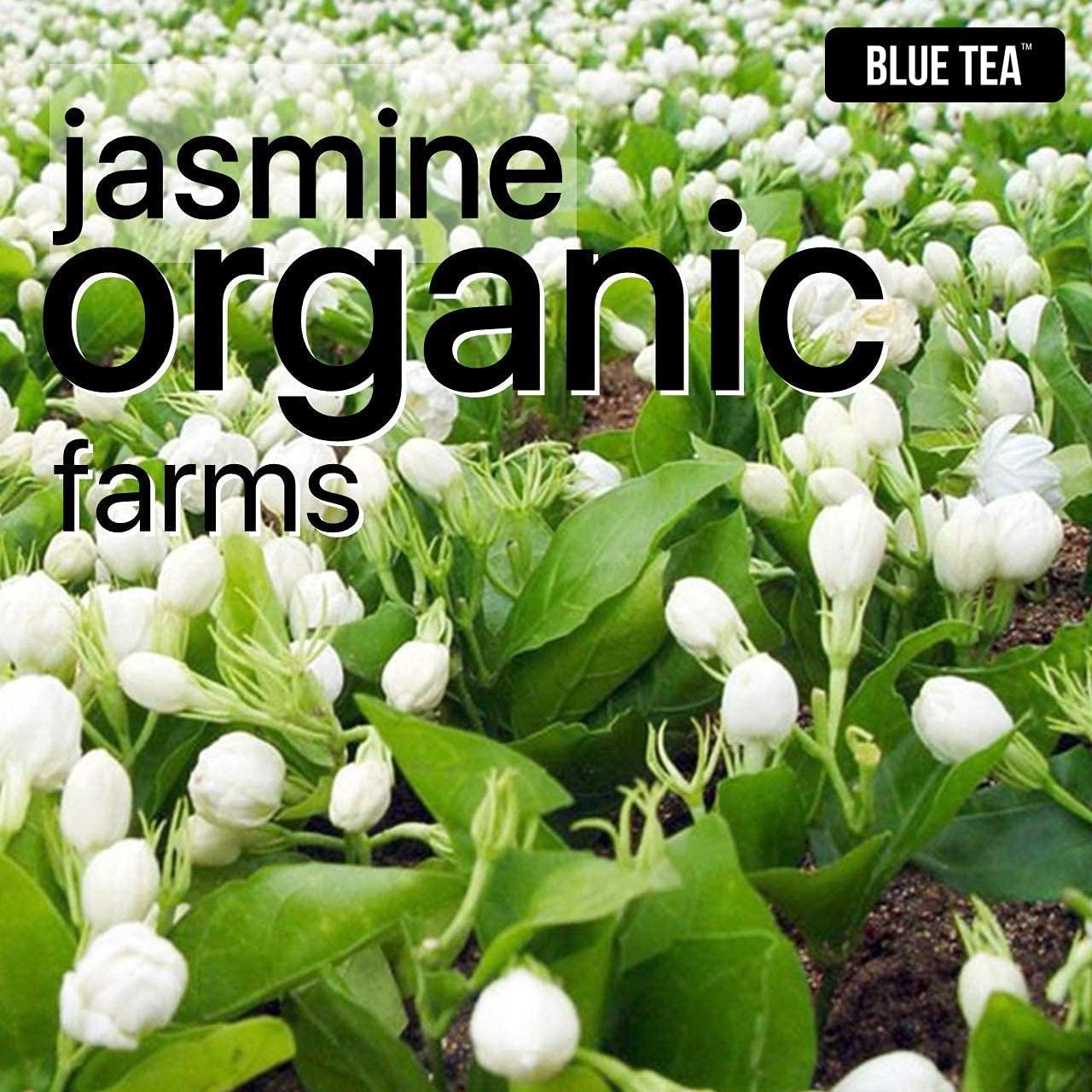 BLUE TEA BLUE TEA - Jasmine Tea - 30gm - 50 Cups | FOR SLIMMING BODY & STRESS RELIEF | Non-Bitter - Farm Fresh - Caffeine Free - Herbal Tea - Flower Based - Anti-Oxidants | Pet Jar Packaging