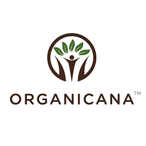 Organicana Organicana Pure Organic / Natural Honey Sachet 400gm (25 Sachets Each Box) (Pack of 2)