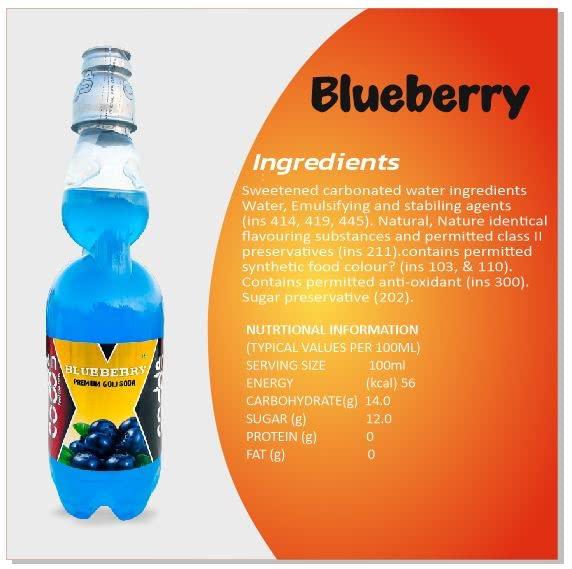CODDUP Feel the thrill Codd Up Premium Goli Soda | Assorted Flavours | Pack of 6 - 300 ml Each (Blueberry)