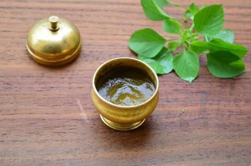 HUNGRY BEAST Spice-M, Acalypha indica | Kuppaimeni | Indian Mercury | Indian Nettle | Kuppikhokhali Moorkonda | murkonda - 250 grams