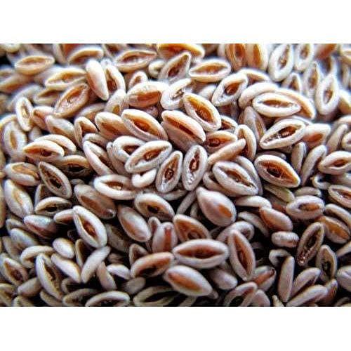 SADHGURU SADHGURU ISABGOL SEED, Isabgol Seed (Psyllium Seeds) (250 gram)
