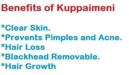 3V PRODUCTS 3V PRODUCTS Kuppaimeni Powder 50g | Indian Mercury | Indian Nettle | Acalypha Indica for Skin | Face | Edible Health Benefits