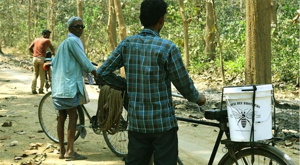 Royal Bee Brothers Wild Forest Raw Honey | Produce of Wild Honey Bee | 100% Pure & Natural, Unprocessed, Unheated, Unadulterated