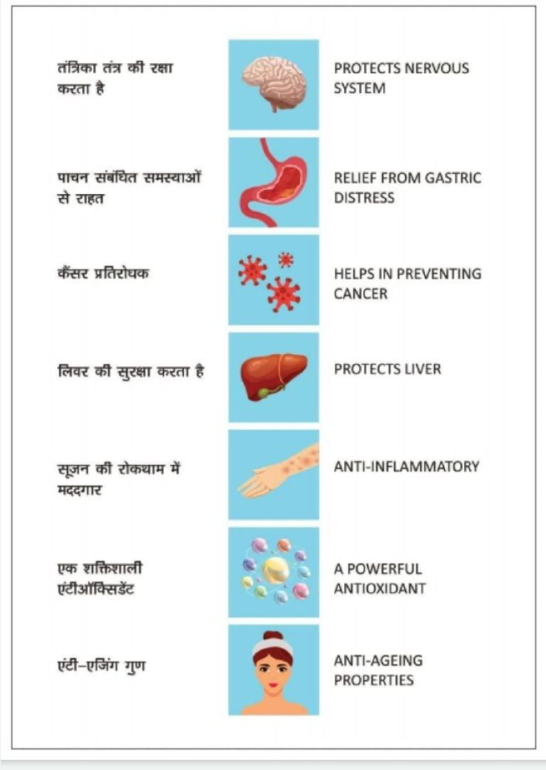 RCM Health Guard Gamma Oryzanol Capsule - (60 Count) By RCM